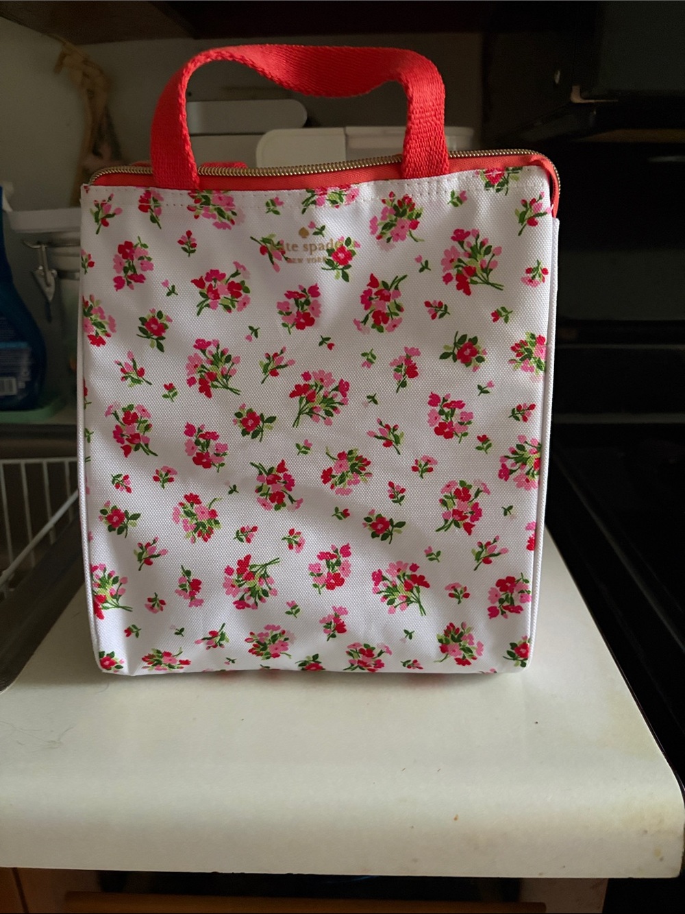 Kate Spade Lunch Bag